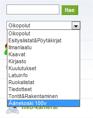Äänekoski 100v