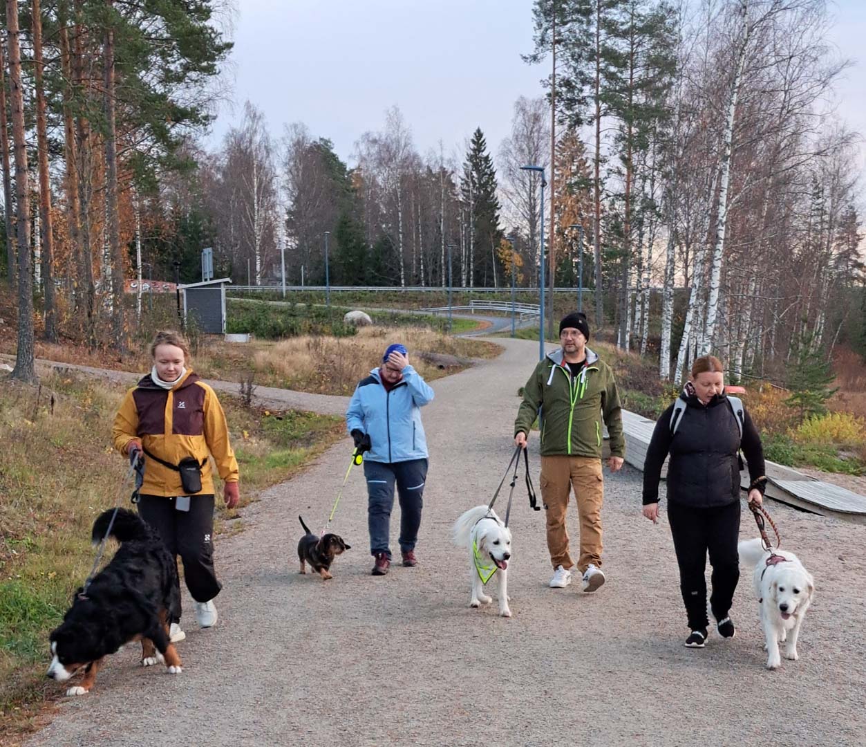 Koiraulkoiluystävänä koiran kanssa