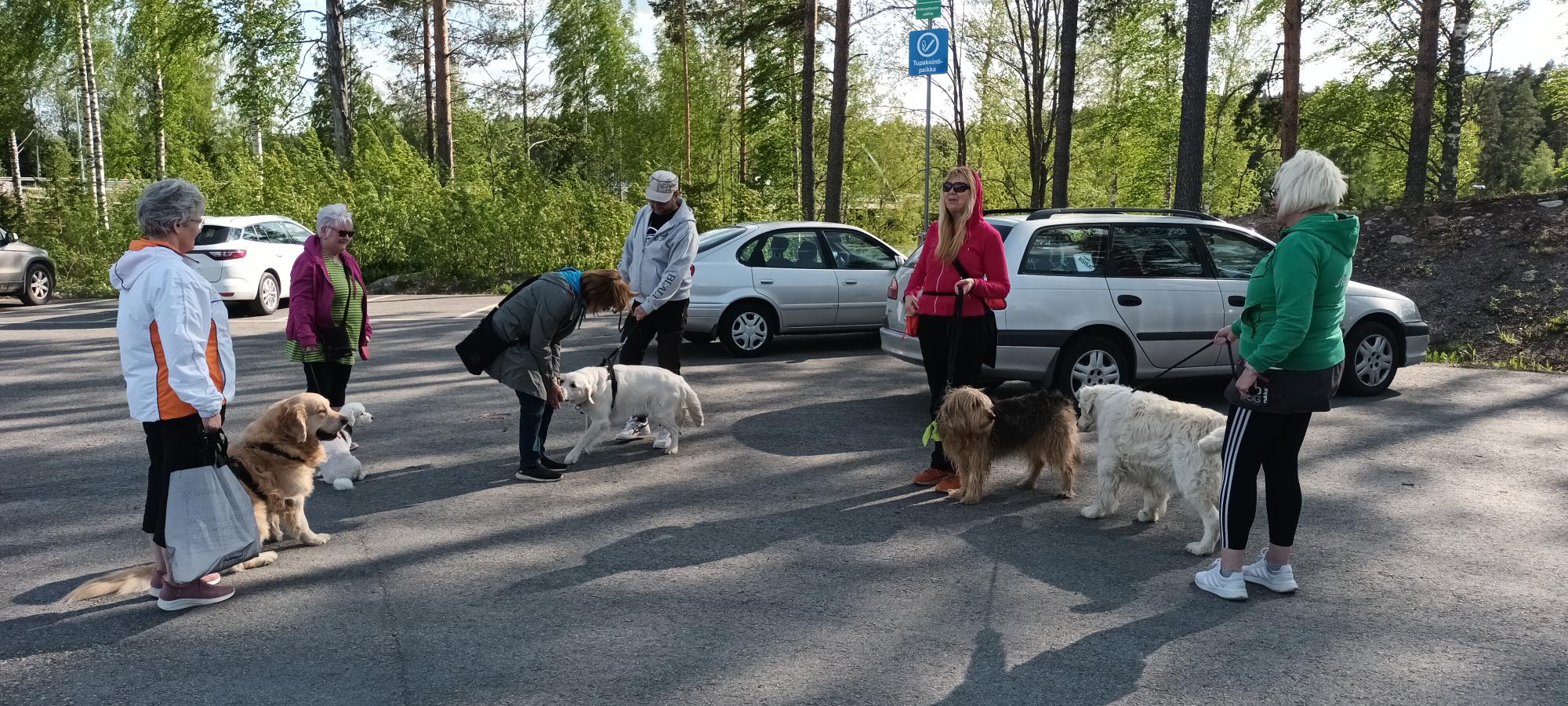 Ulkoiluystävänä koiran kanssa