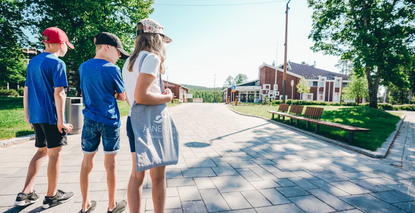 Hallinto Ja P t kset