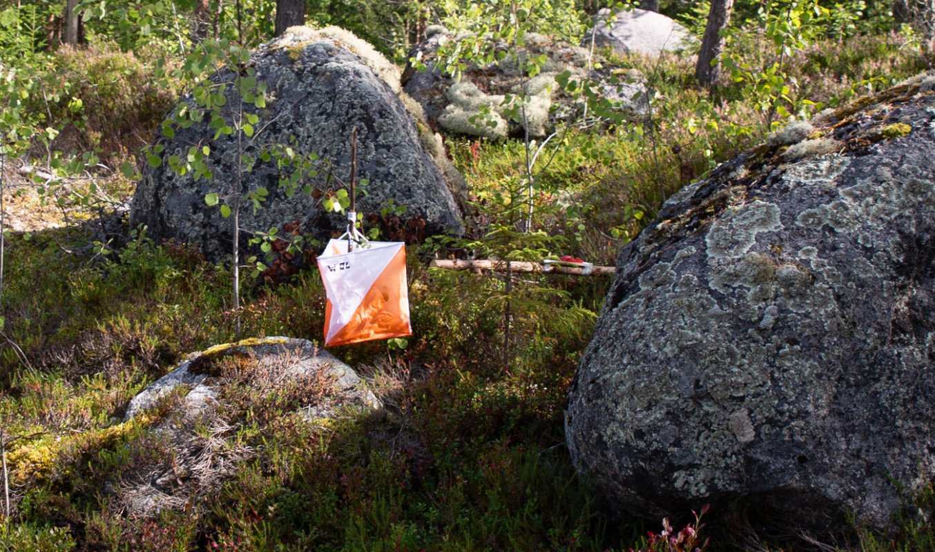 Tiistairastit Kirppuvuoressa