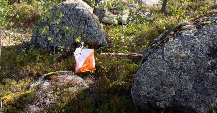 Tiistairastit in Koivisto + self-guided checkpoints