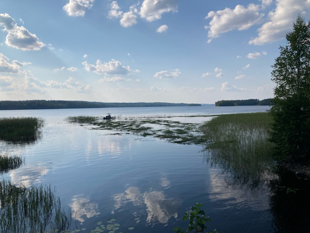 järvimaisema ja heinää