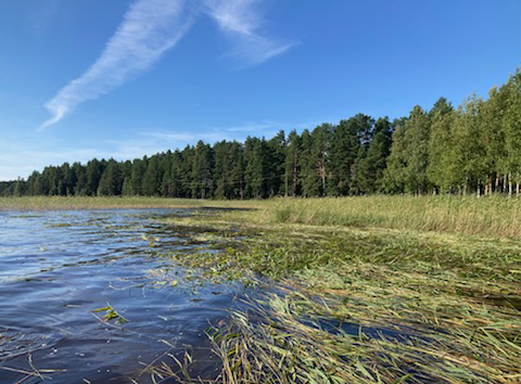 järvimaisema