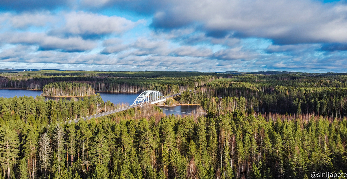 Ilmakuva, metsäistä maisemaa ja silta.