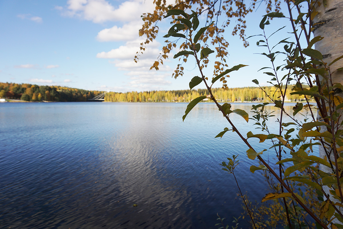 Kesäinen järvimaisema.