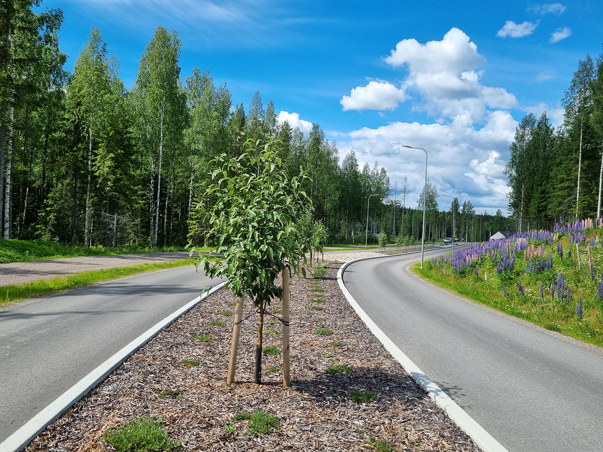 Kevyenliikenteenväylää